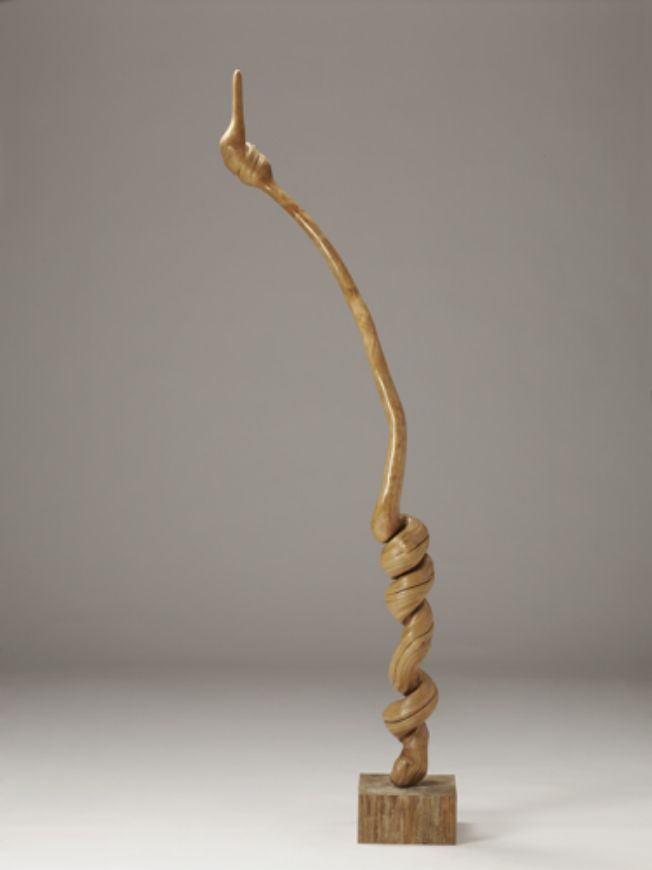 Picture of VINE ROOT
