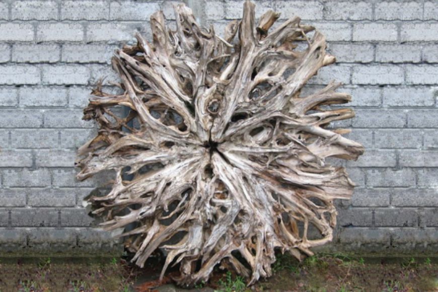 Picture of LARGE ROUND ROOT