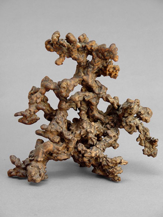 Picture of ANCIENT CONTEMPLATION ROOT 3