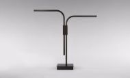 Picture of BRANCH TABLE LAMP