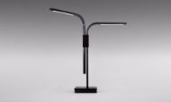 Picture of BRANCH TABLE LAMP
